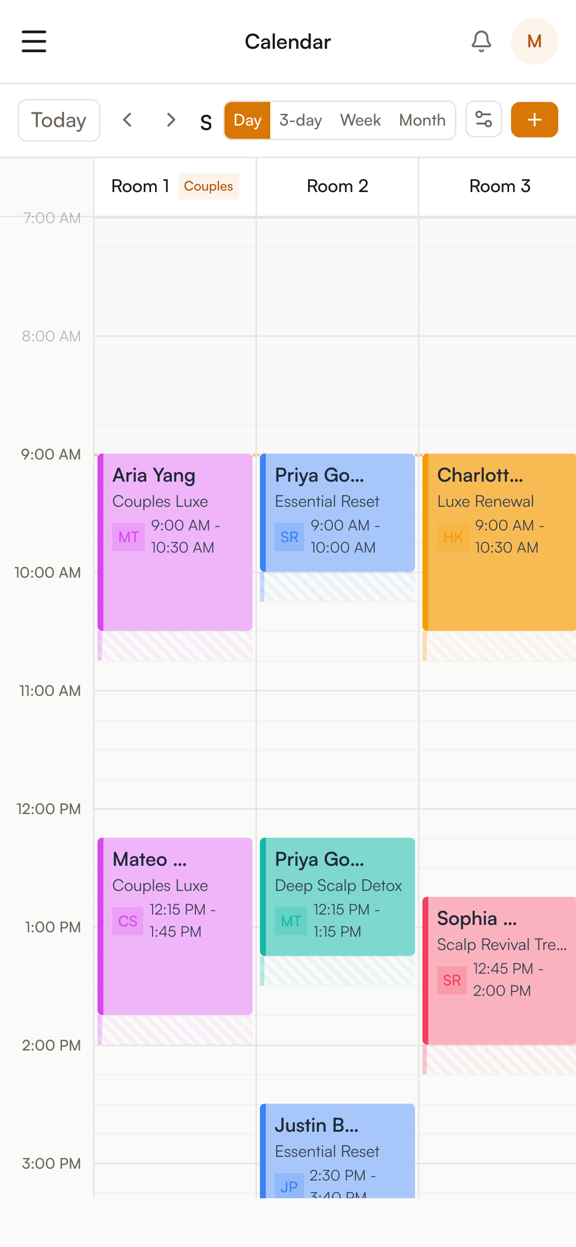 Scalp Boss on mobile — Today, by room